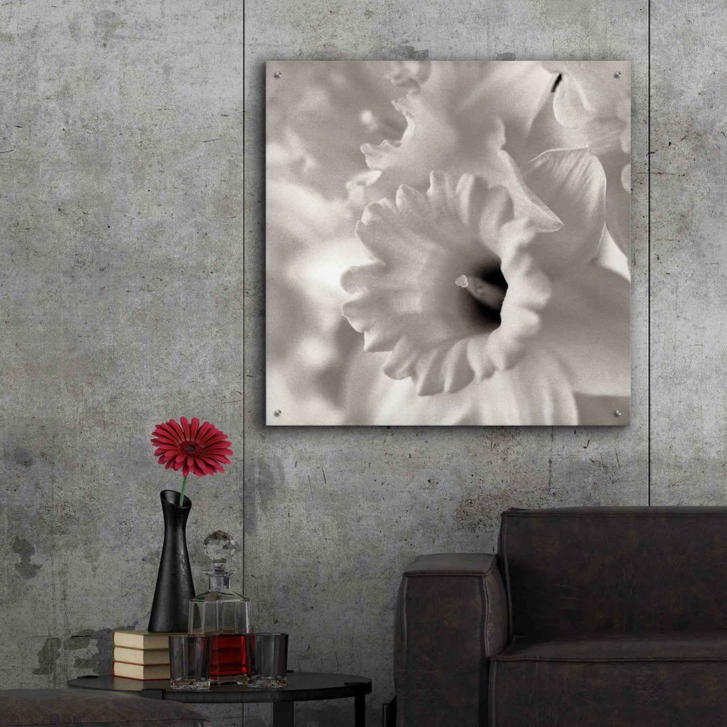 Epic Art 'Florison 45' by Alan Blaustein Acrylic Glass Wall Art,36x36