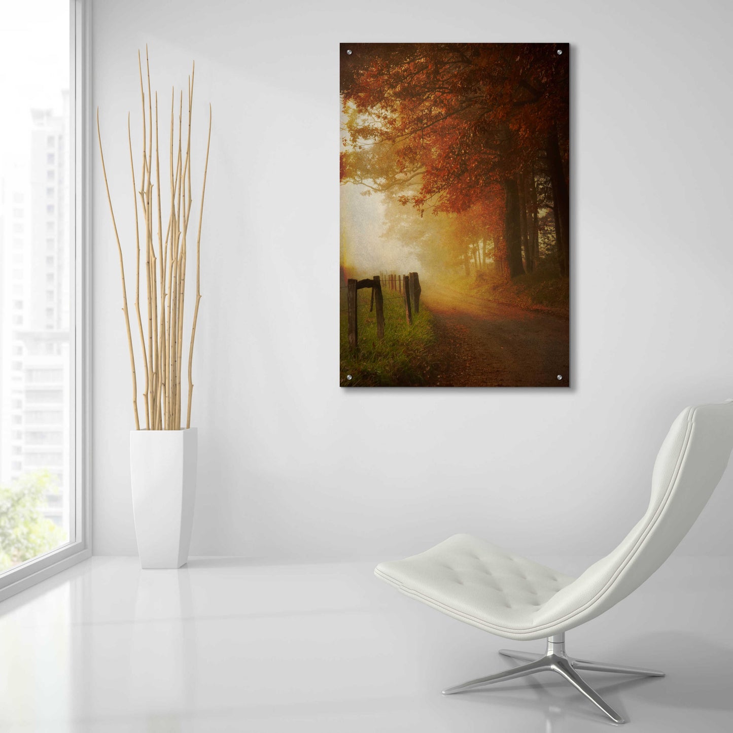 Epic Art 'Come to the Light' by Daniel Burt Acrylic Glass Wall Art,24x36