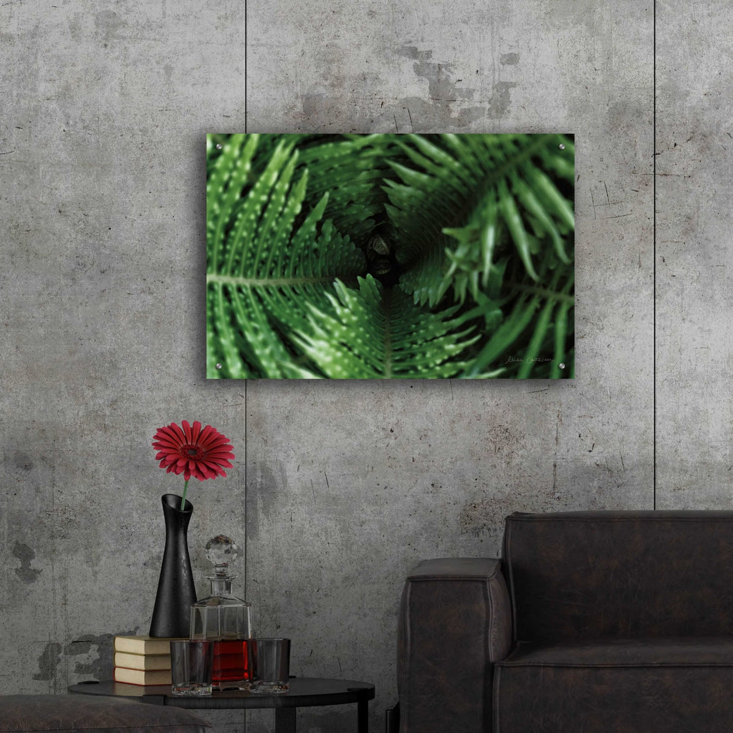 Epic Art 'Fern Detail' by Elise Catterall, Acrylic Glass Wall Art,36x24