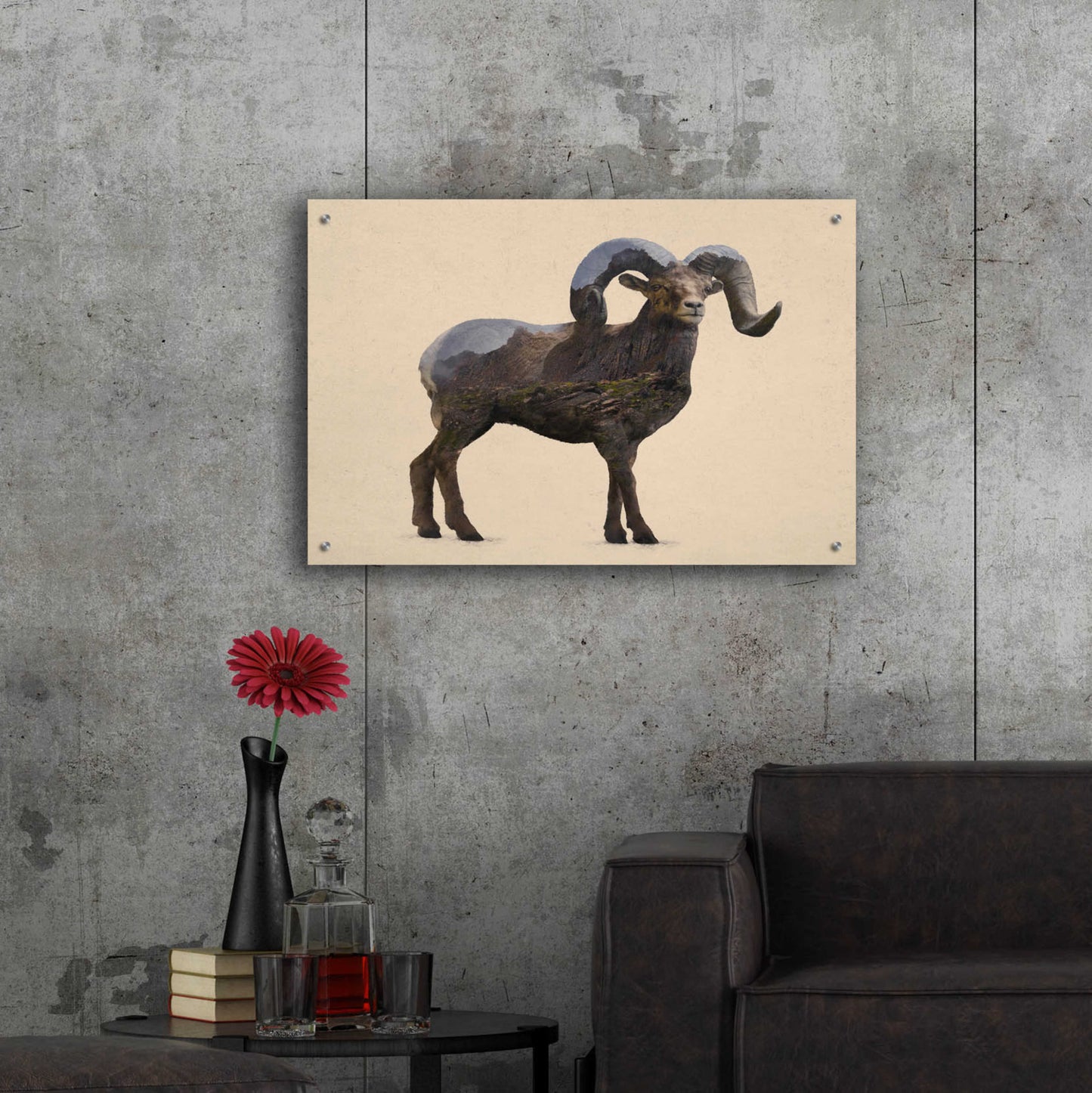 Epic Art 'Rocky Mountain Bighorn' by Davies Babies, Acrylic Glass Wall Art,36x24