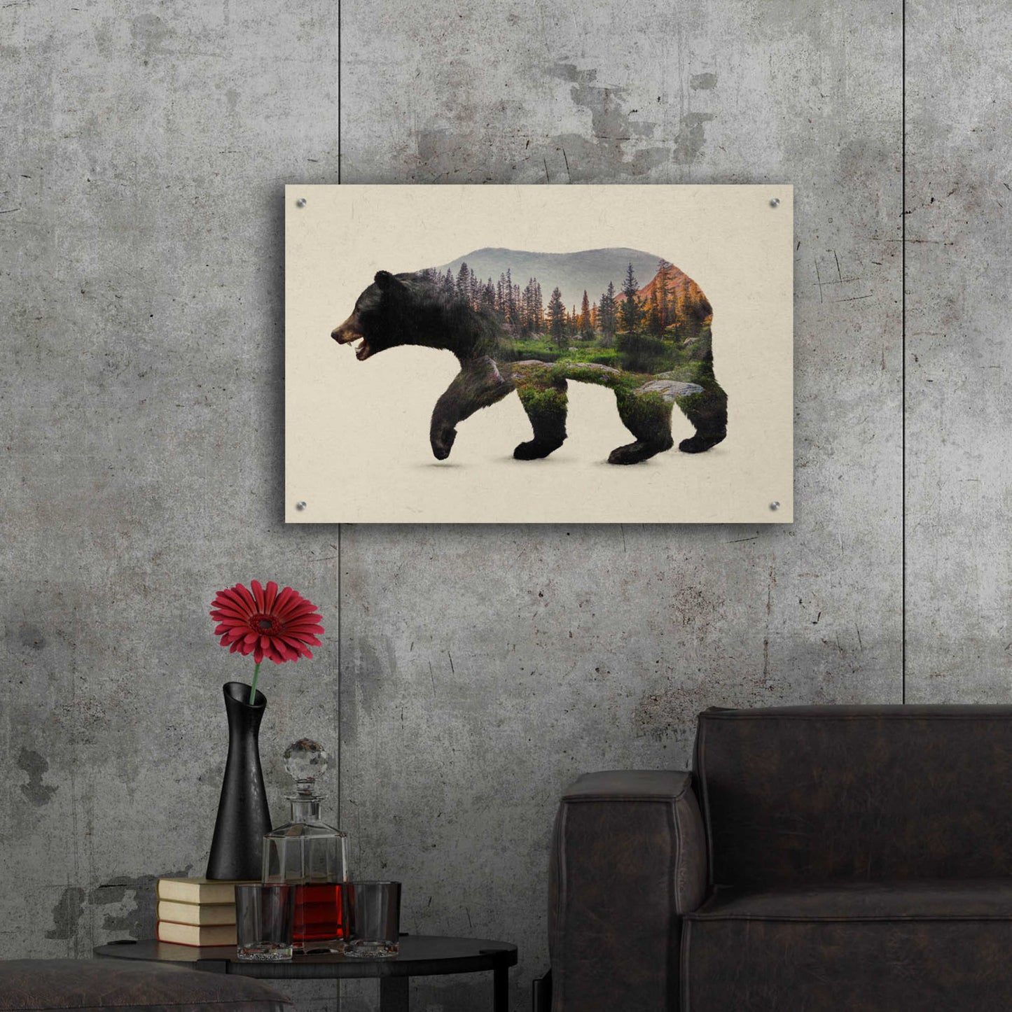 Epic Art 'The North American Black Bear' by Davies Babies, Acrylic Glass Wall Art,36x24