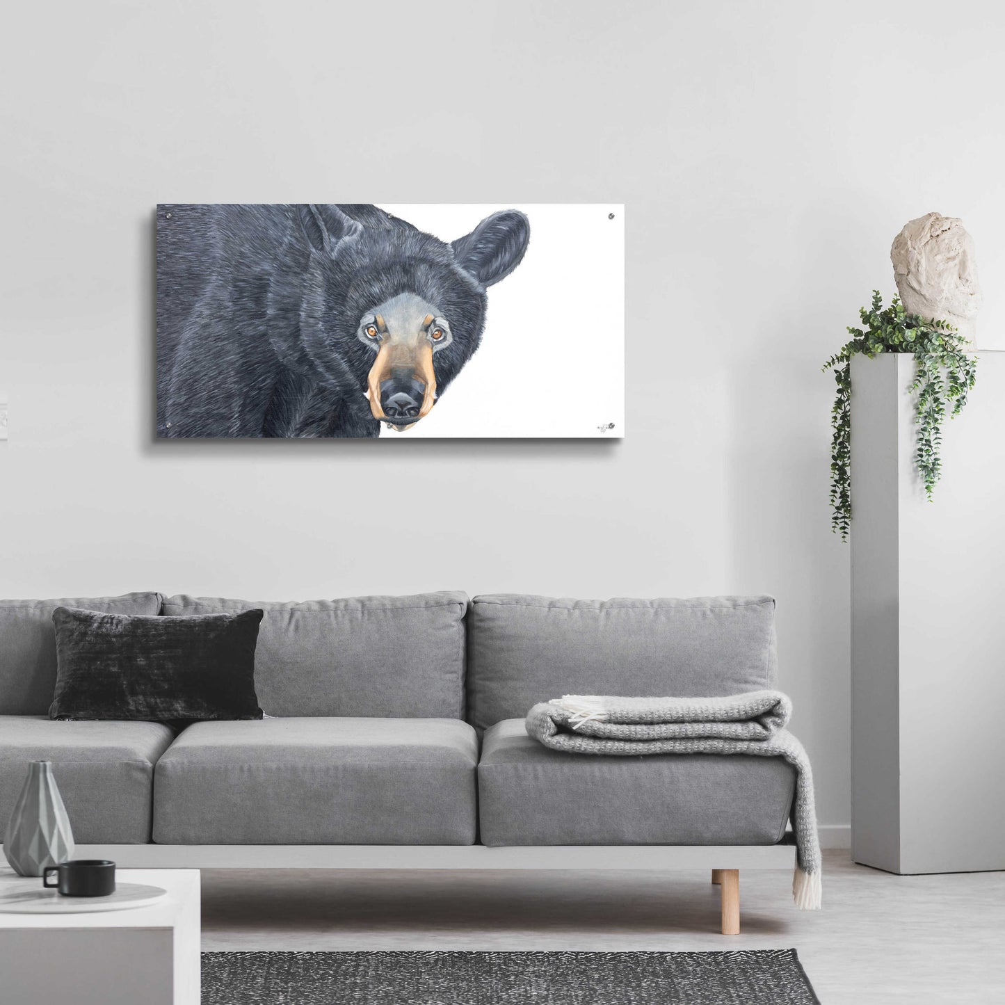 Epic Art 'Black Bear' by Diane Fifer, Acrylic Glass Wall Art,48x24