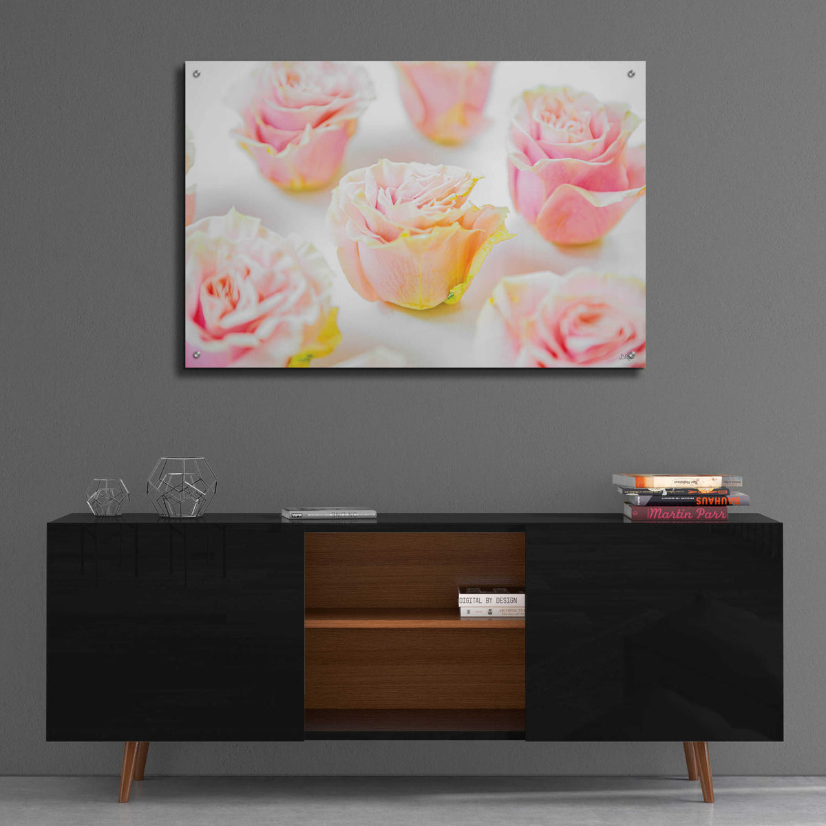 Epic Art 'Pale Pink Rose Blooms III' by Donnie Quillen, Acrylic Glass Wall Art,36x24