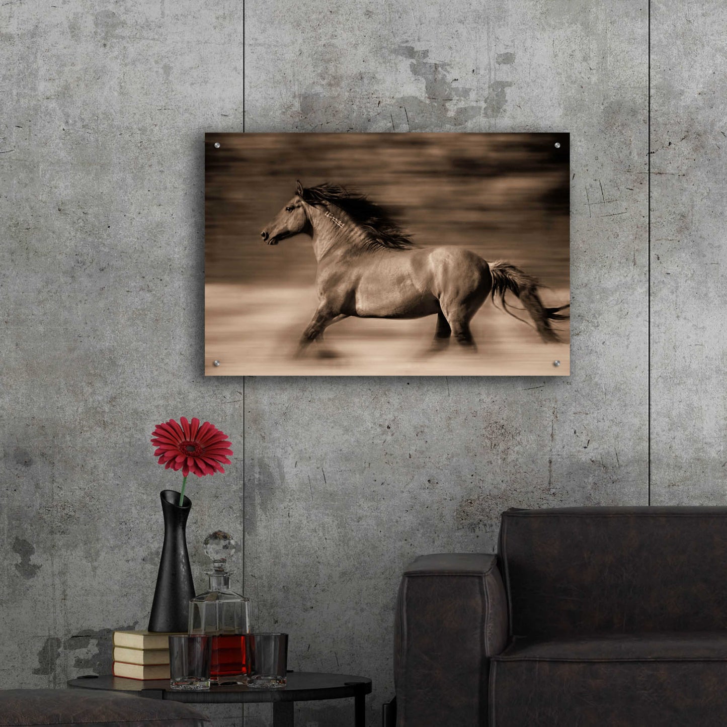 Epic Art 'Wind Runner' by Lisa Dearing, Acrylic Glass Wall Art,36x24