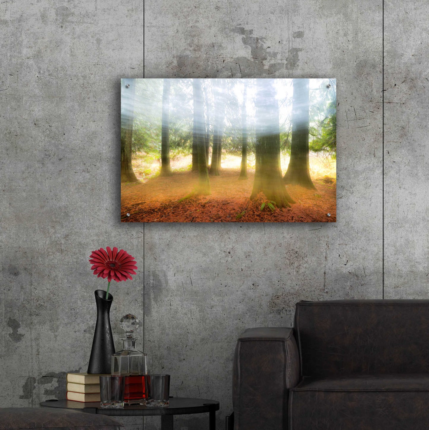 Epic Art 'Blurred Trees' by Thomas Haney, Acrylic Glass Wall Art,36x24