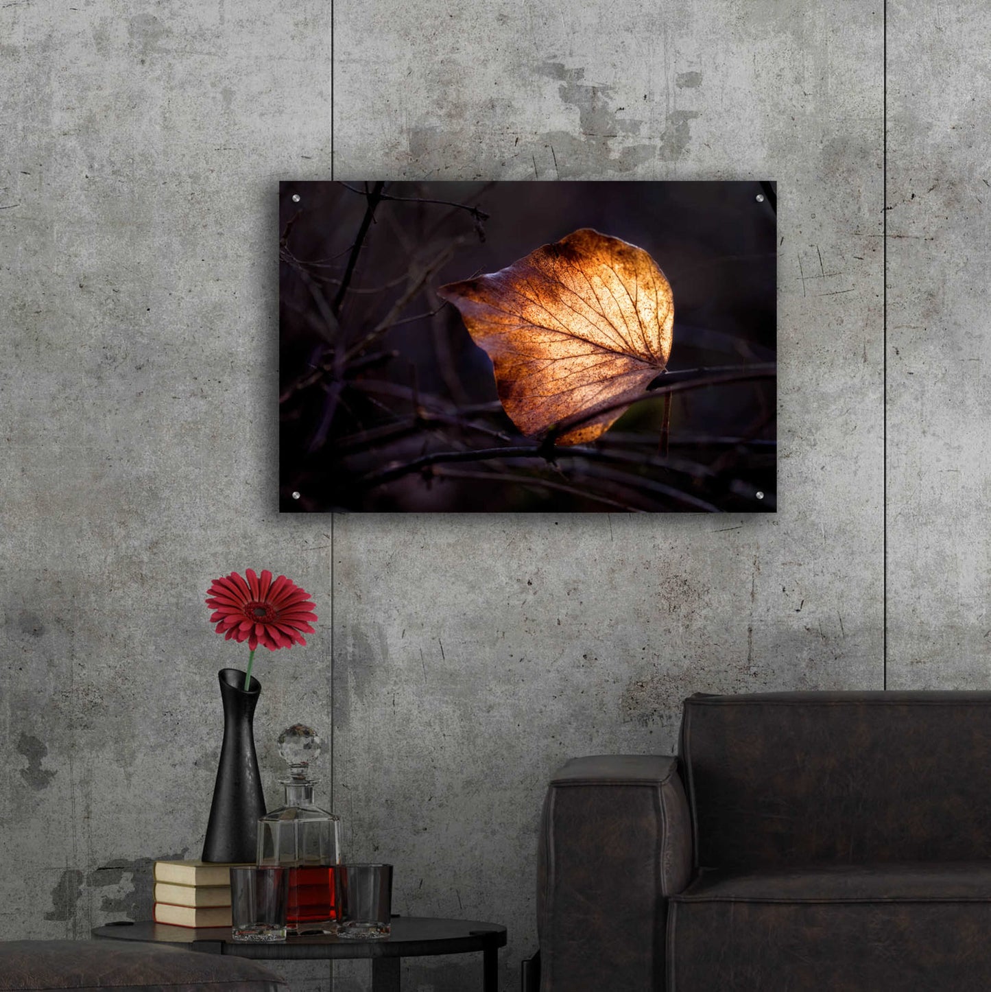 Epic Art 'Bright Leaf Proc' by Thomas Haney, Acrylic Glass Wall Art,36x24