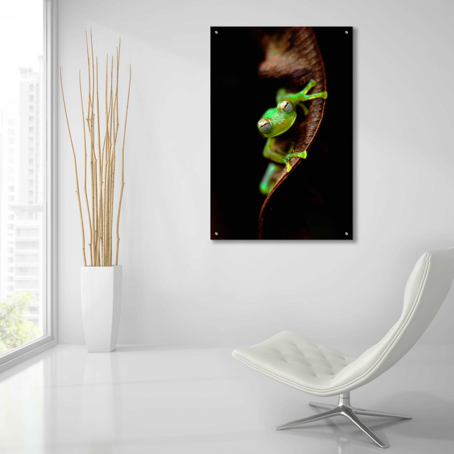Epic Art 'Frog Portrait' by Thomas Haney, Acrylic Glass Wall Art,24x36