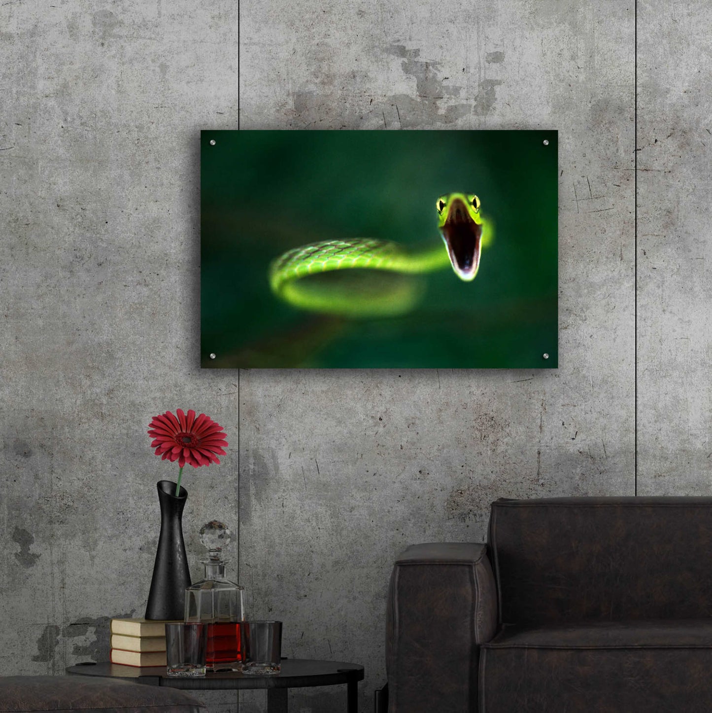 Epic Art 'Vine Snake' by Thomas Haney, Acrylic Glass Wall Art,36x24