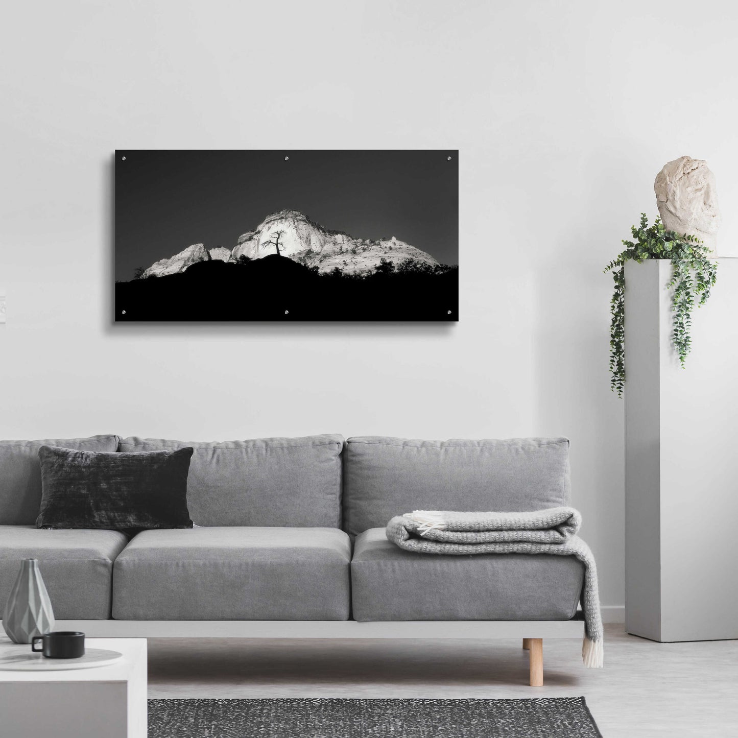 Epic Art 'Zion Tree Silhouette' by Thomas Haney, Acrylic Glass Wall Art,48x24