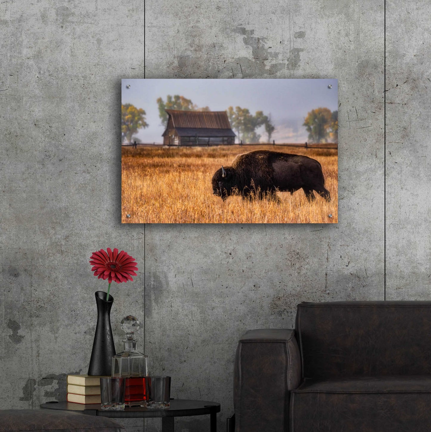 Epic Art 'Home on the Range - Grand Teton National Park' by Darren White, Acrylic Glass Wall Art,36x24