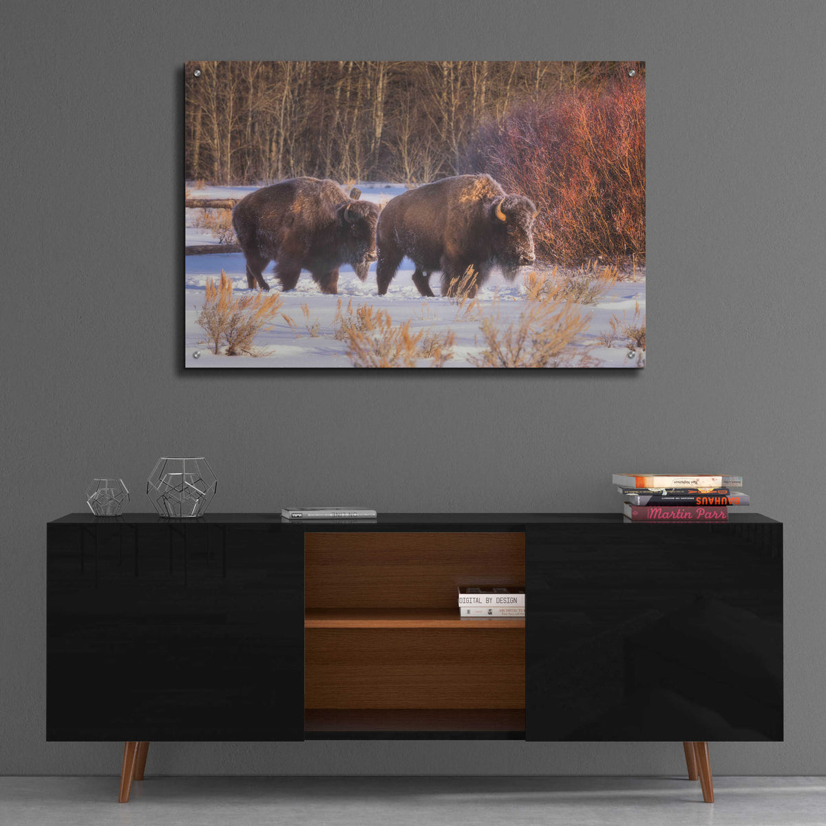 Epic Art 'Let's Go - Grand Teton National Park' by Darren White, Acrylic Glass Wall Art,36x24