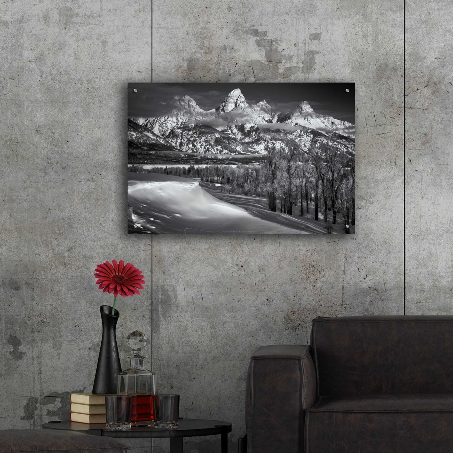 Epic Art 'Majestic Peaks - Grand Teton National Park' by Darren White, Acrylic Glass Wall Art,36x24