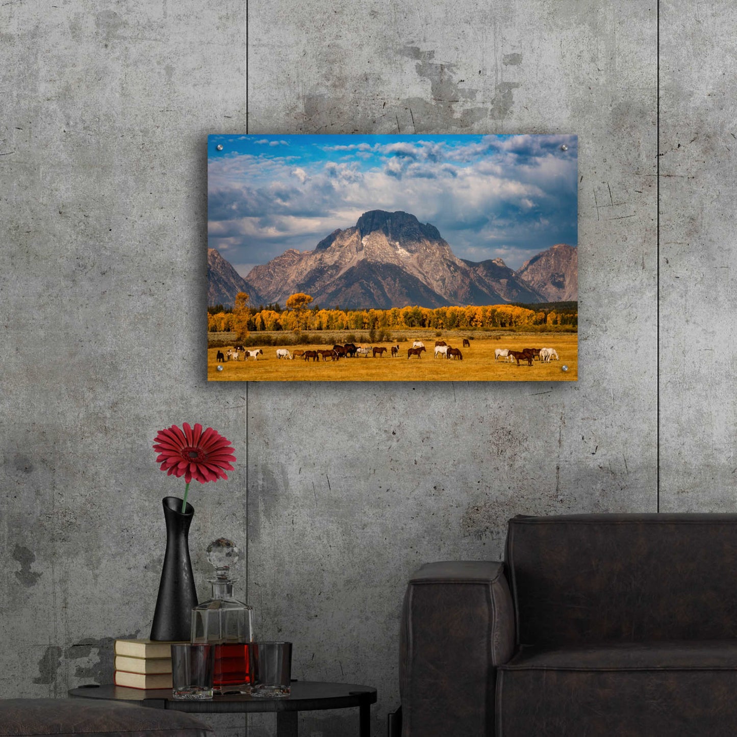 Epic Art 'Teton Horse Ranch - Grand Teton National Park' by Darren White, Acrylic Glass Wall Art,36x24