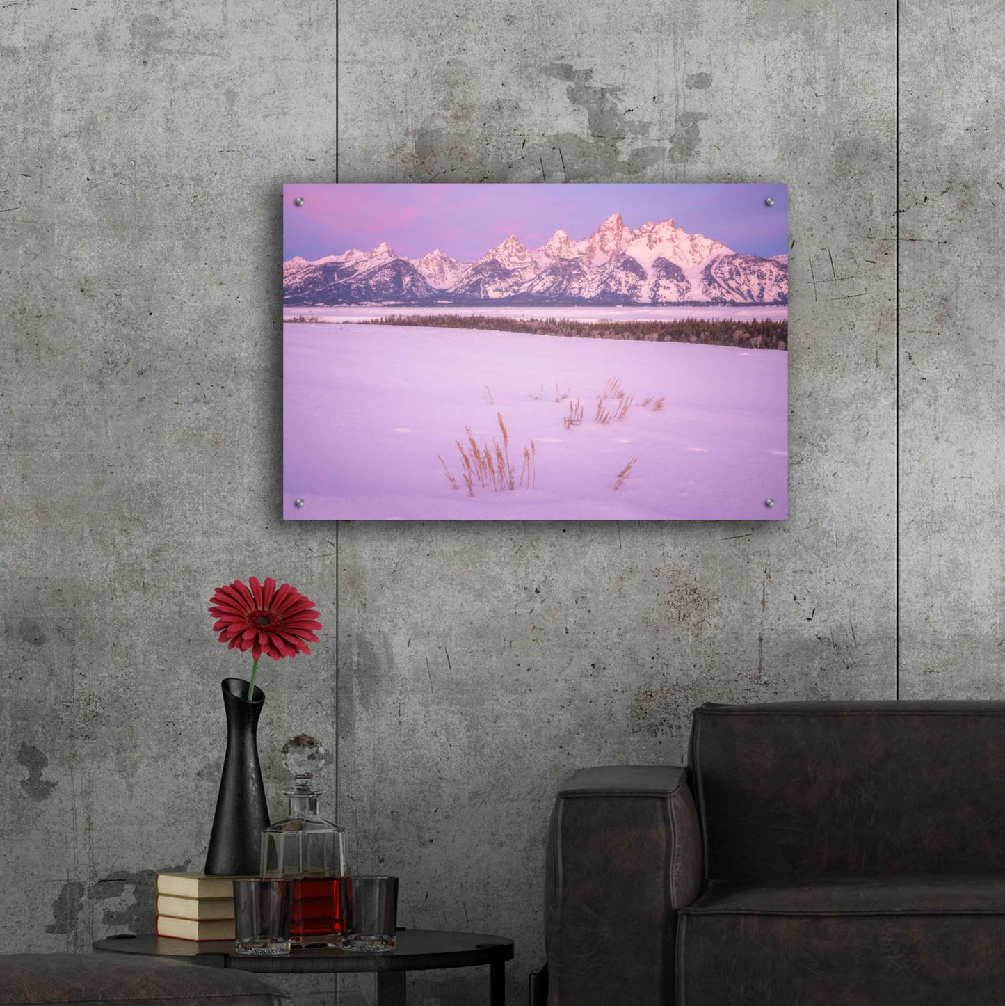 Epic Art 'Winter Calm - Grand Teton National Park' by Darren White, Acrylic Glass Wall Art,36x24