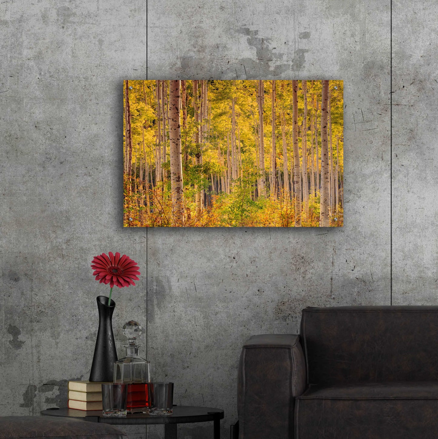 Epic Art 'Independence Pass' by John Gavrilis, Acrylic Glass Wall Art,36x24