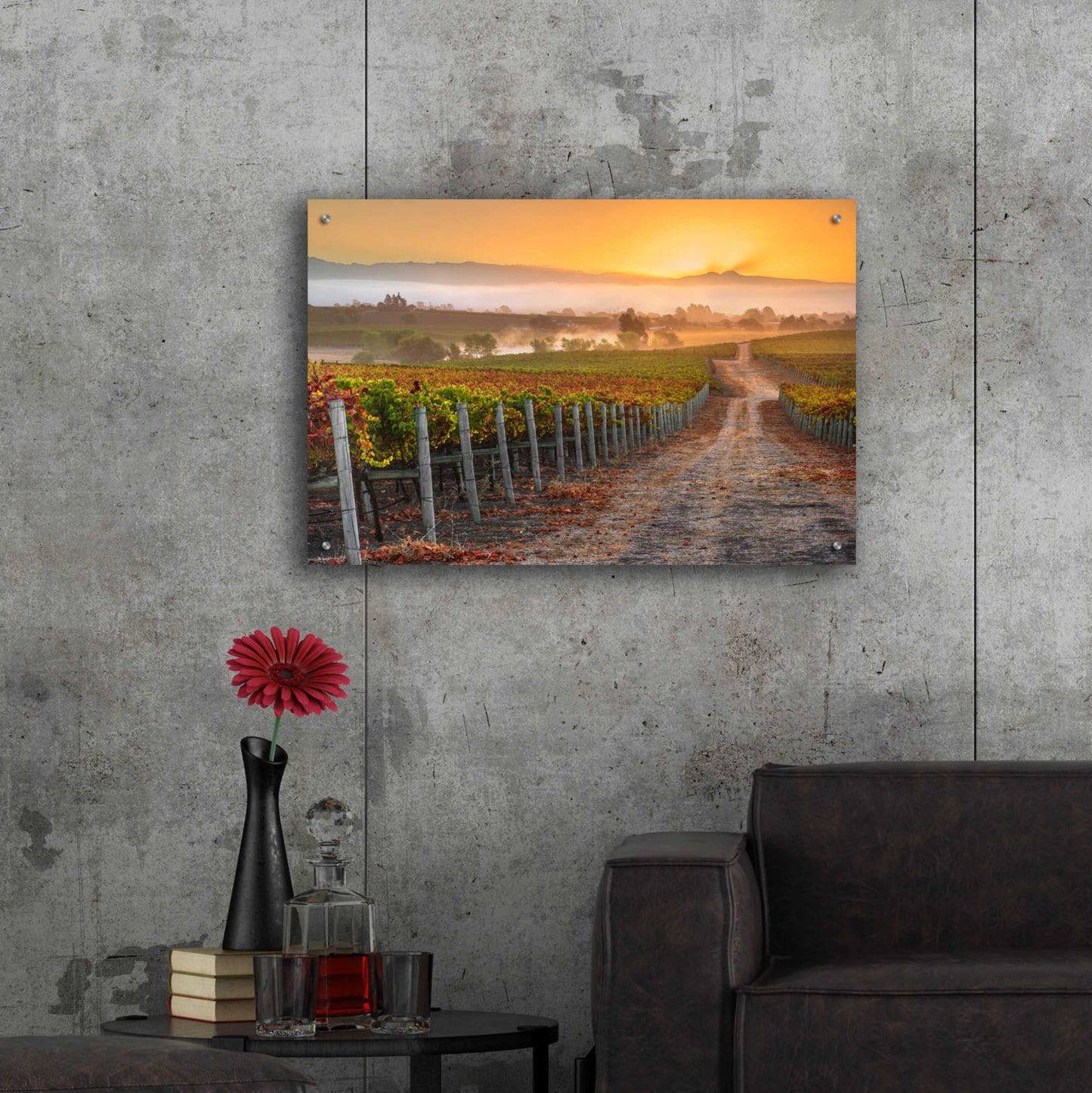 Epic Art 'Vineyard Sunrise' by John Gavrilis, Acrylic Glass Wall Art,36x24