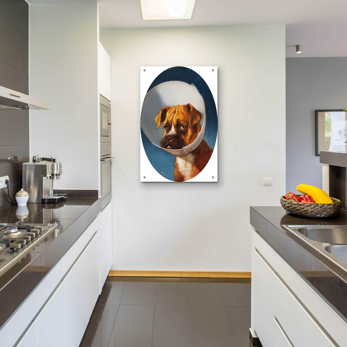 Epic Art 'Cone of Shame' by Lucia Heffernan,24x36