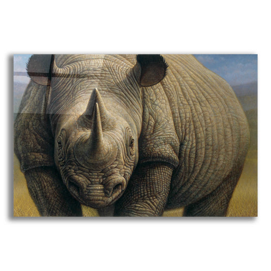 Epic Art 'Rhinos' by Dan Craig, Acrylic Glass Wall Art