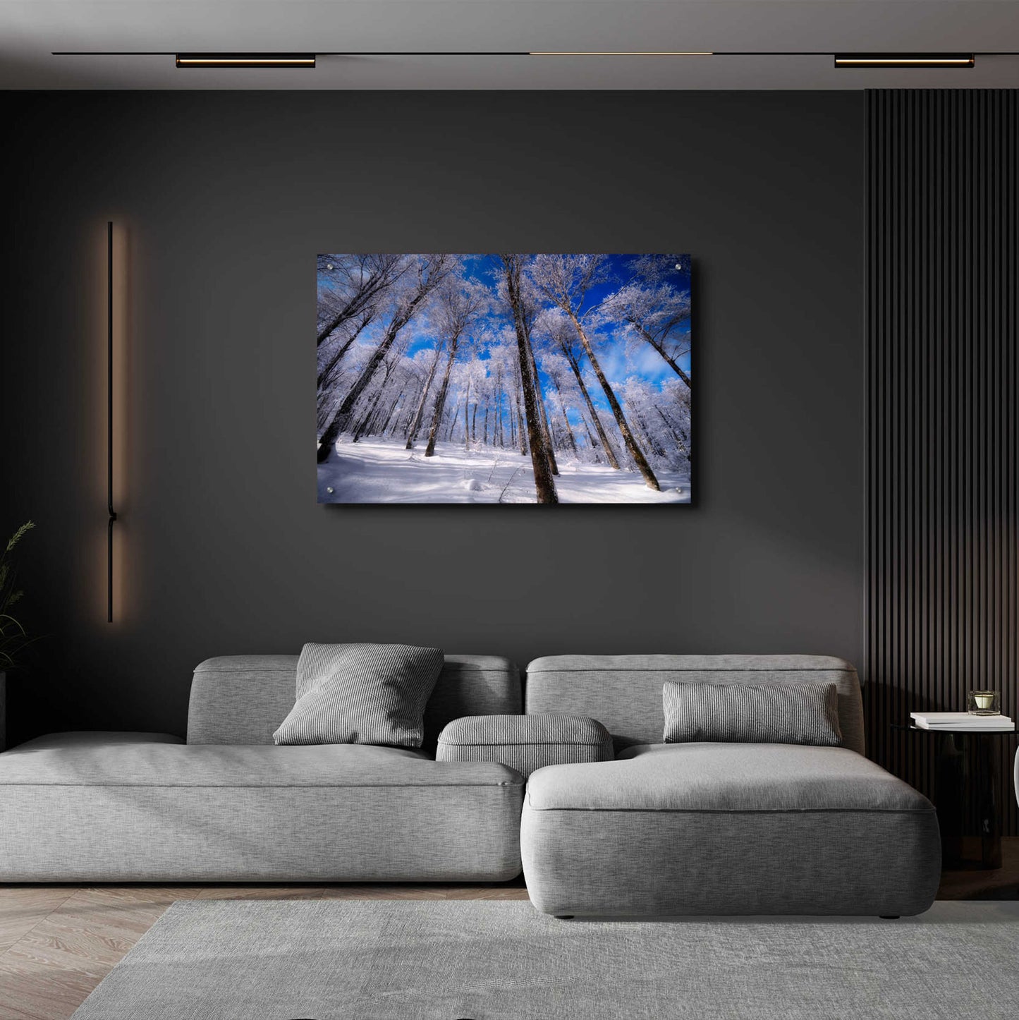 Epic Art 'Crystal Vision' by Philippe Sainte-Laudy, Acrylic Glass Wall Art,36x24