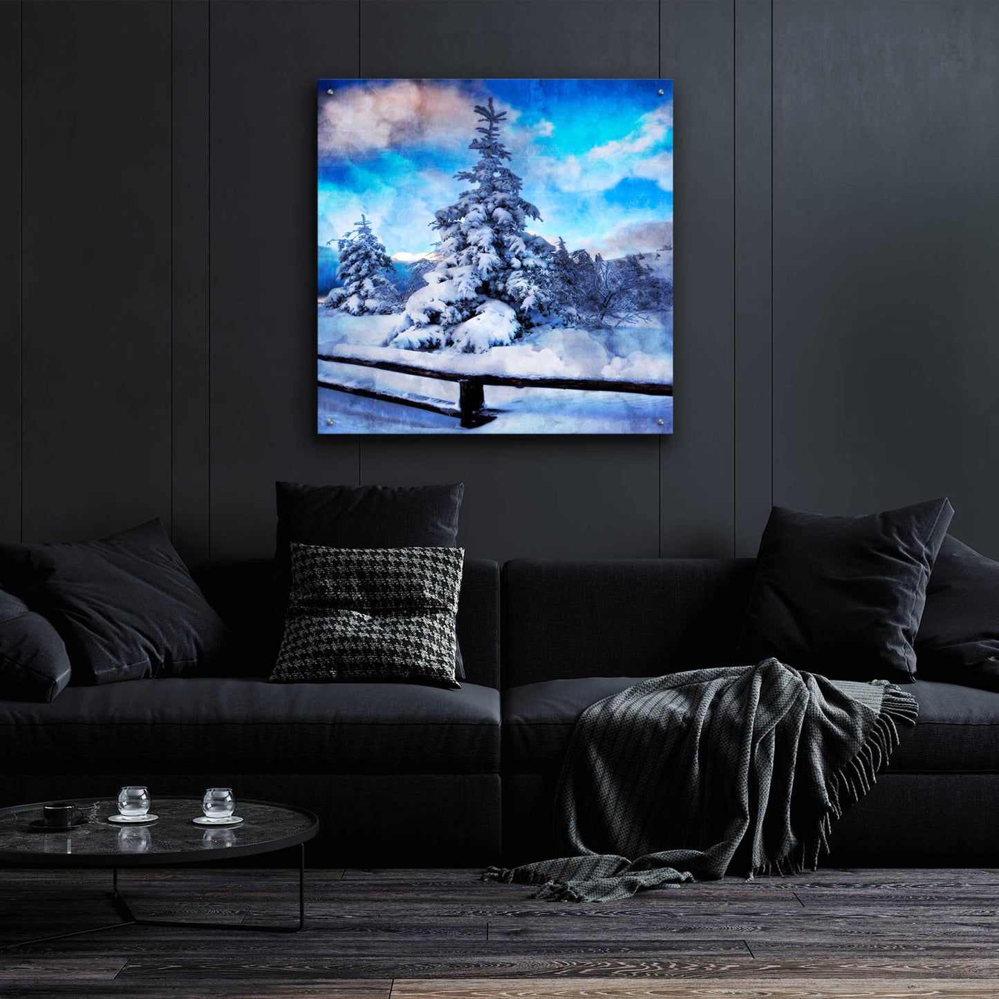 Epic Art 'My Beautiful Fir Tree' by Philippe Sainte-Laudy, Acrylic Glass Wall Art,36x36