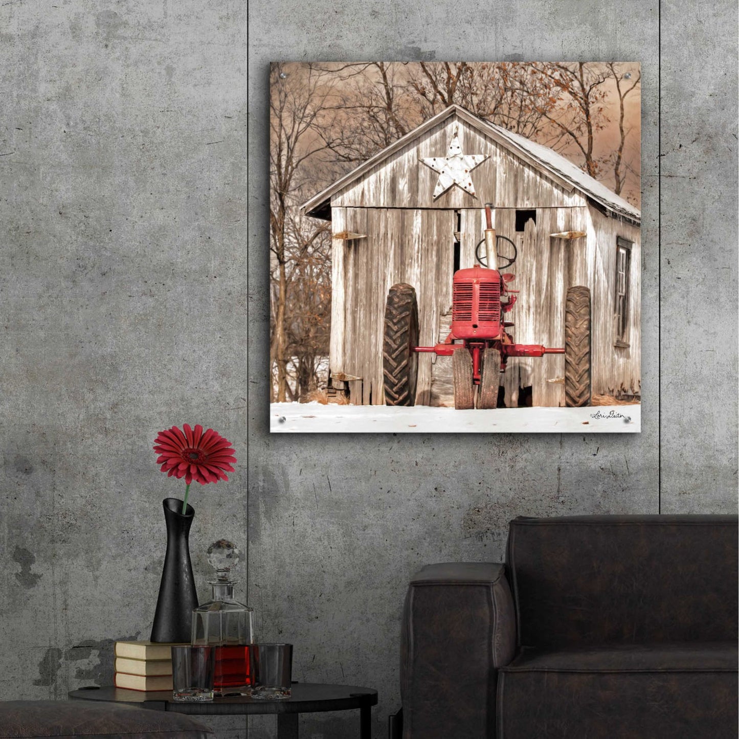 Epic Art 'Star Shed' by Lori Deiter, Acrylic Glass Wall Art,36x36