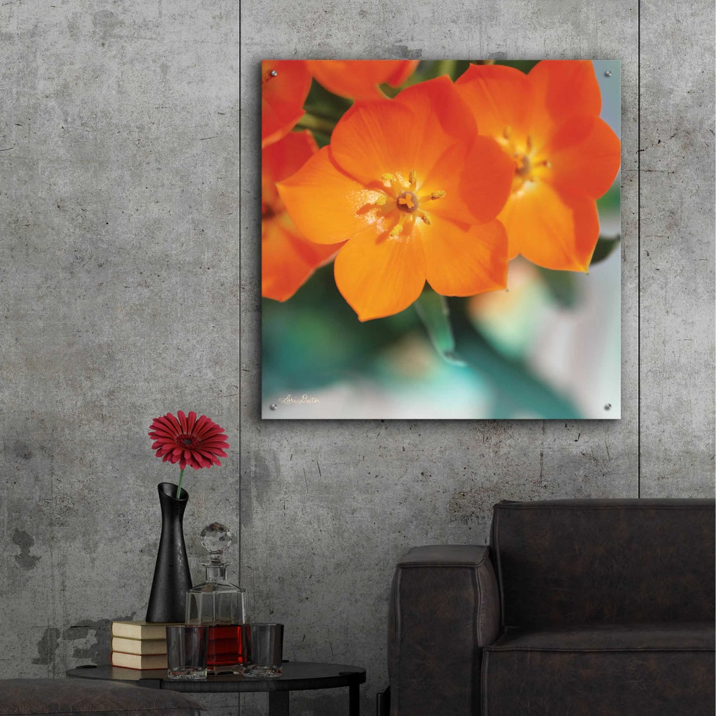 Epic Art 'Floral Pop III' by Lori Deiter, Acrylic Glass Wall Art,36x36