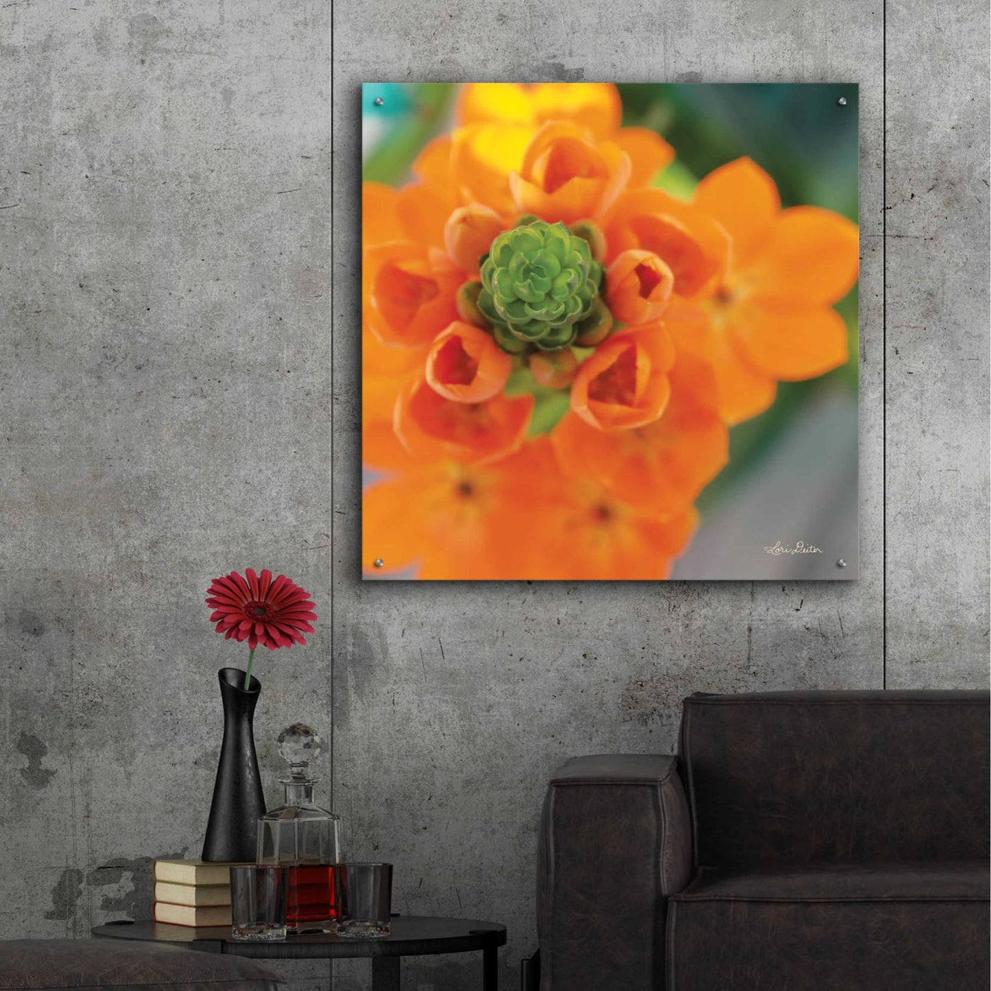 Epic Art 'Floral Pop IV' by Lori Deiter, Acrylic Glass Wall Art,36x36