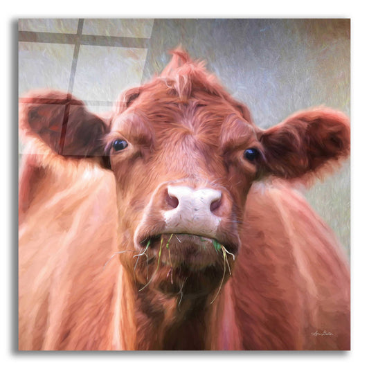 Epic Art 'The Brown Cow' by Lori Deiter, Acrylic Glass Wall Art