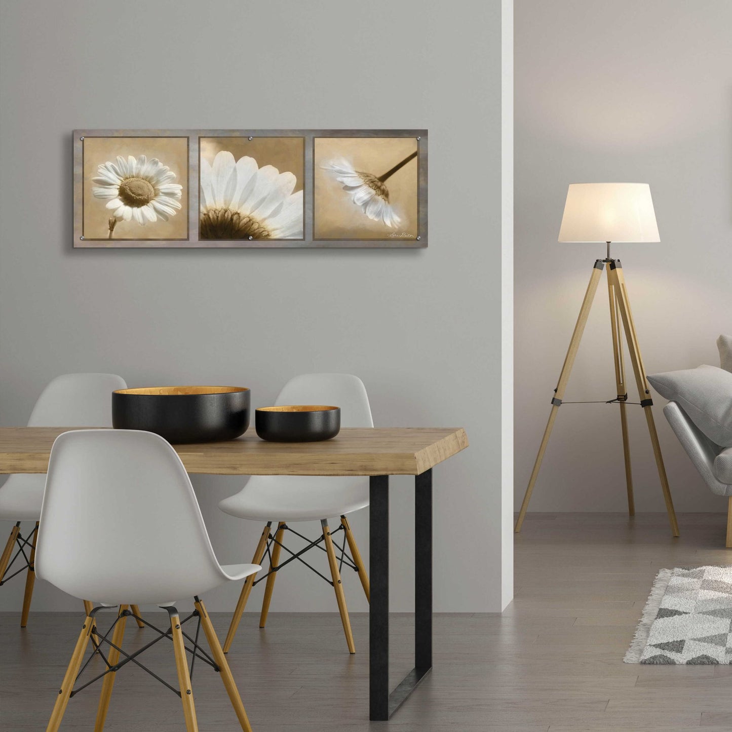 Epic Art 'Daisy Trio' by Lori Deiter, Acrylic Glass Wall Art,48x16