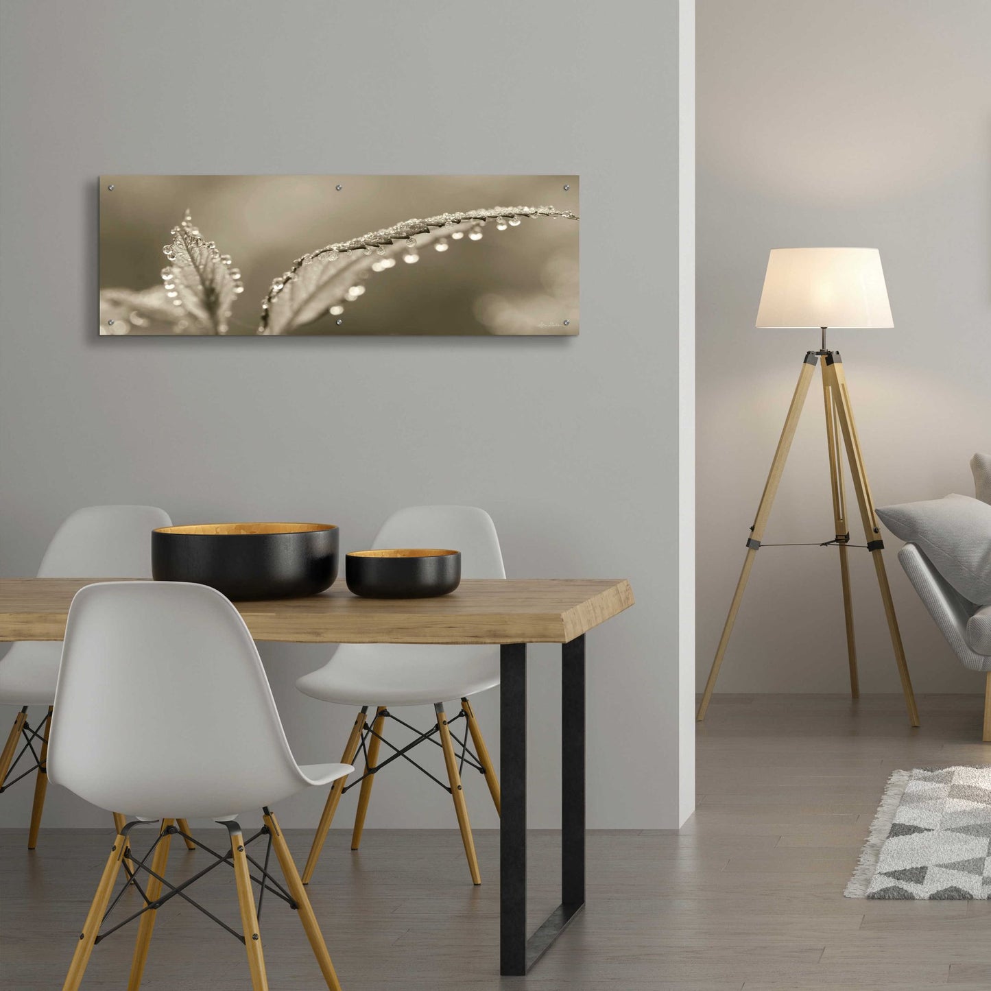 Epic Art 'Dewey Morning' by Lori Deiter, Acrylic Glass Wall Art,48x16