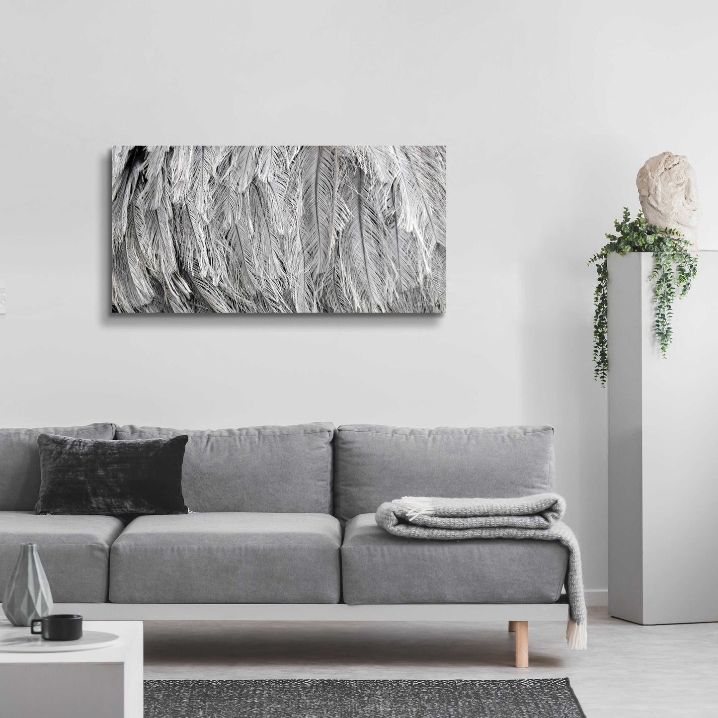 Epic Art 'Silver Feathers' by Lori Deiter, Acrylic Glass Wall Art,48x24
