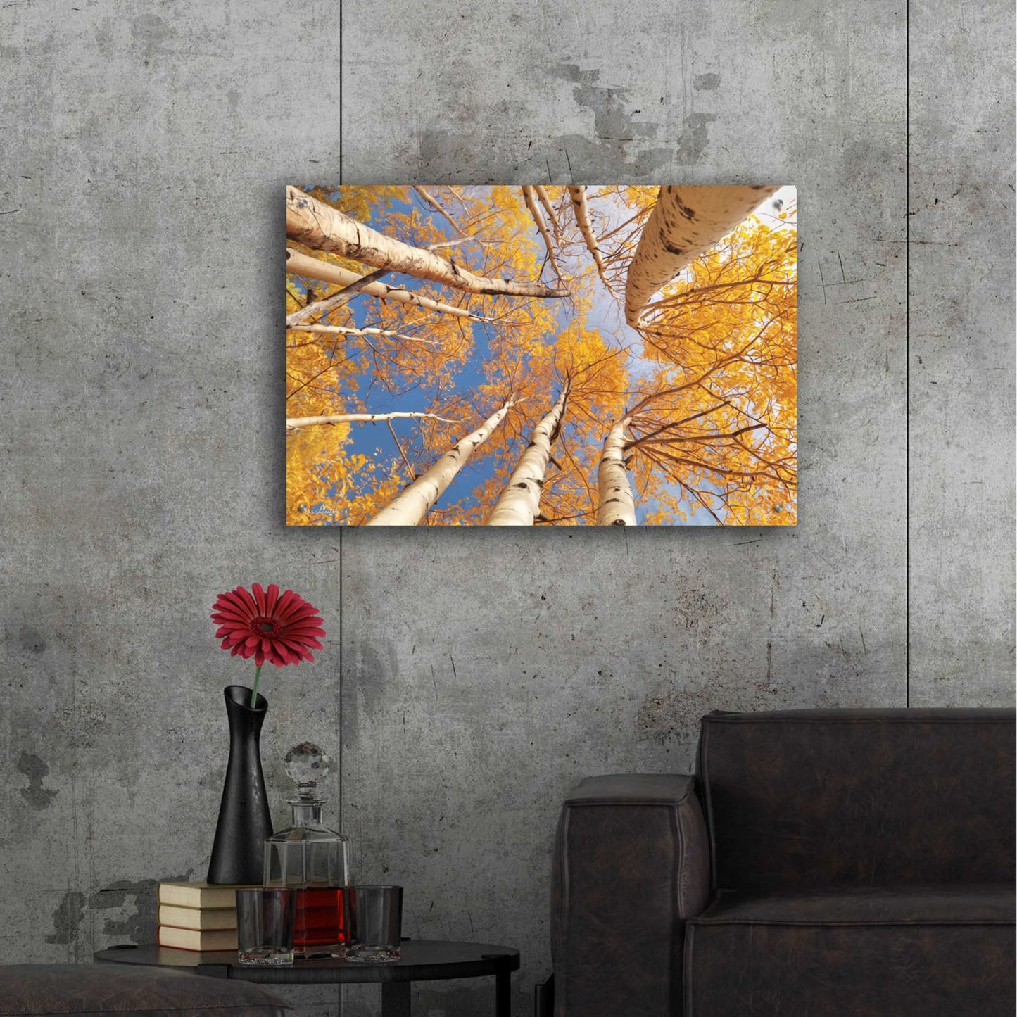 Epic Art 'Aspen II' by Lori Deiter Acrylic Glass Wall Art,36x24