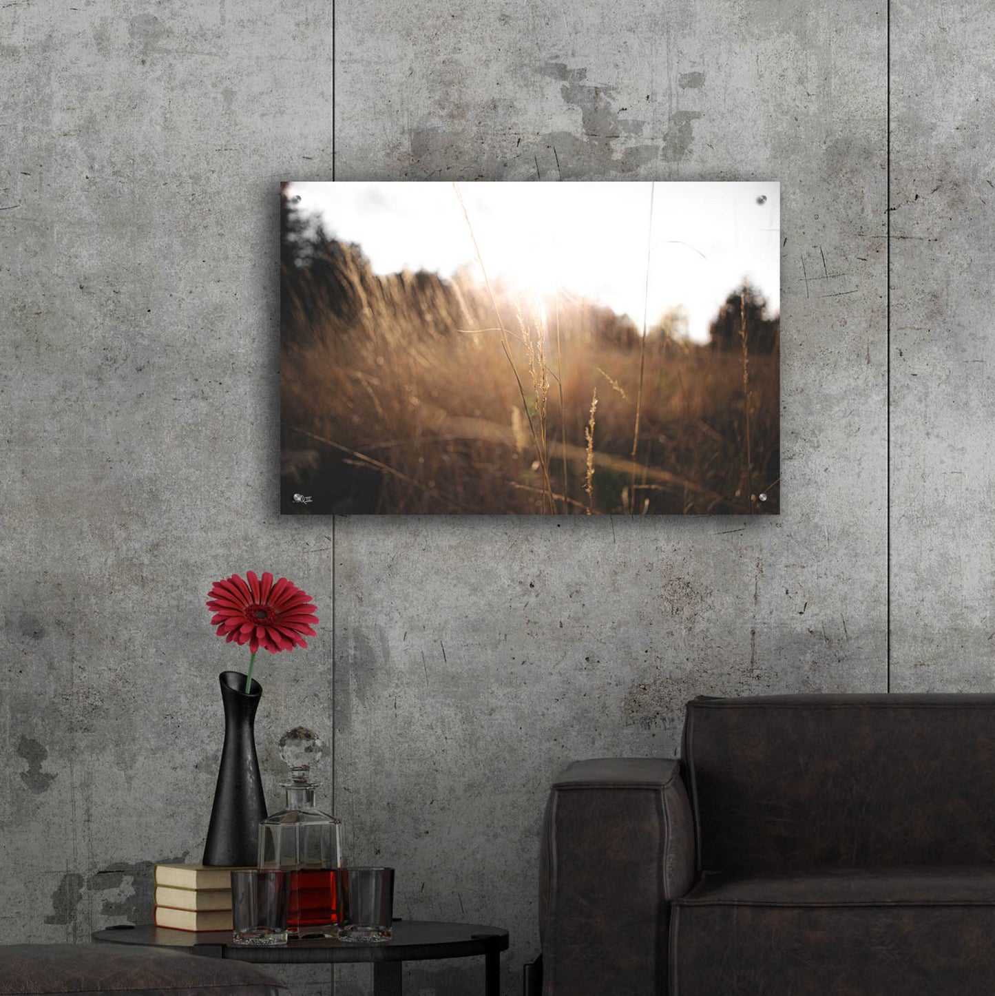 Epic Art 'Bright Sun Haze I' by Donnie Quillen, Acrylic Glass Wall Art,36x24