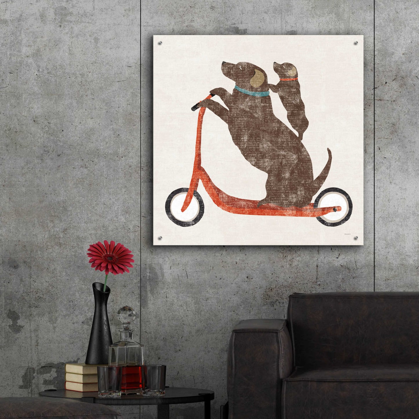 Epic Art 'Lab Scooter Ride' by Sue Schlabach, Acrylic Glass Wall Art,36x36