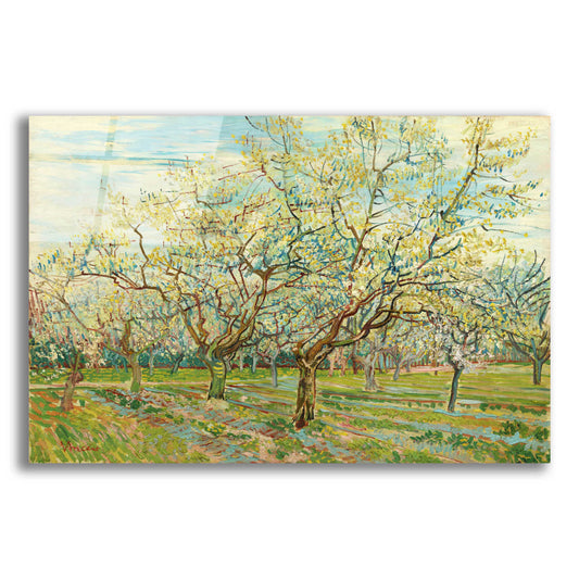 Epic Art 'The White Orchard' by Vincent Van Gogh, Acrylic Glass Wall Art