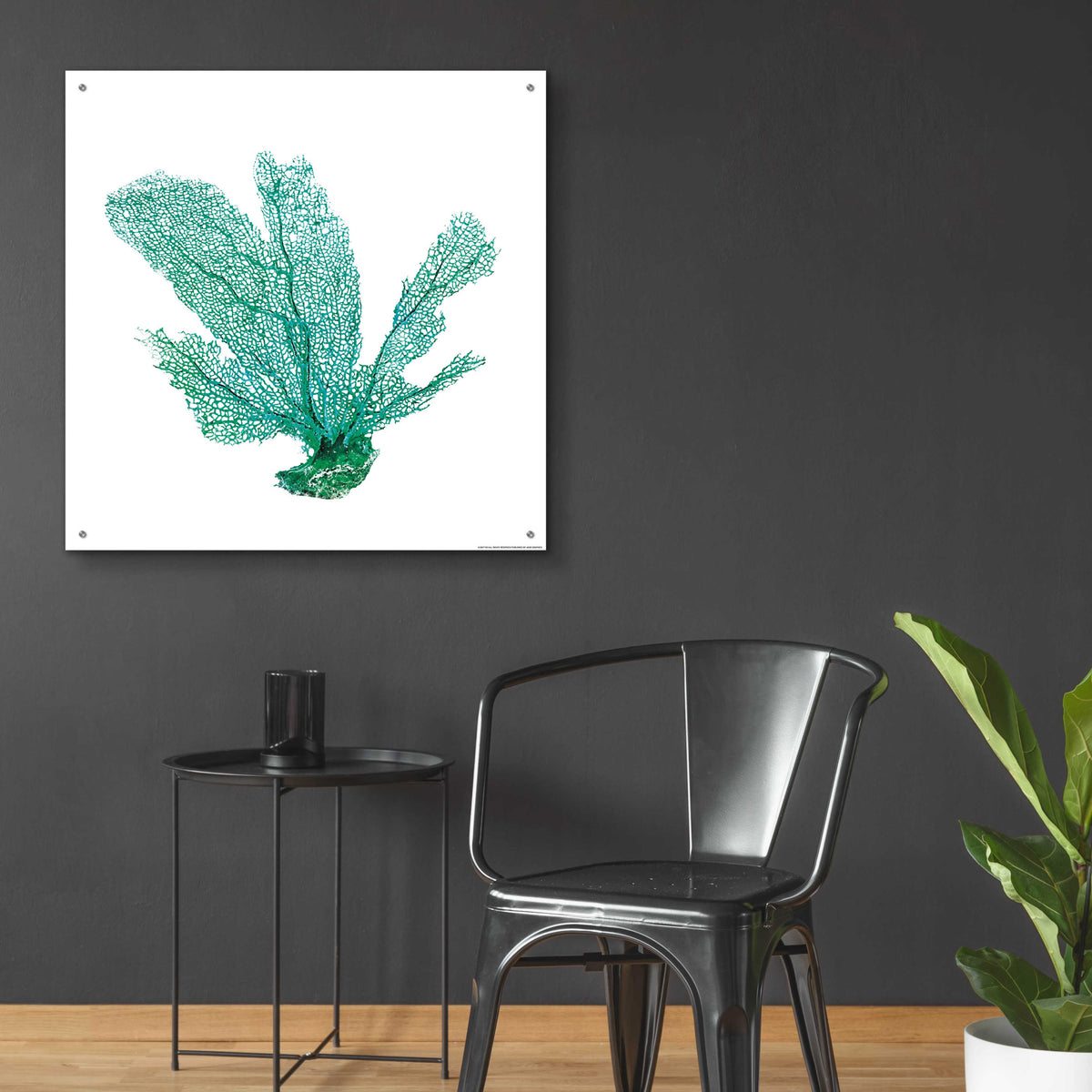 Epic Art 'Green Sea Fan' by JJ Brando, Acrylic Glass Wall Art,36x36