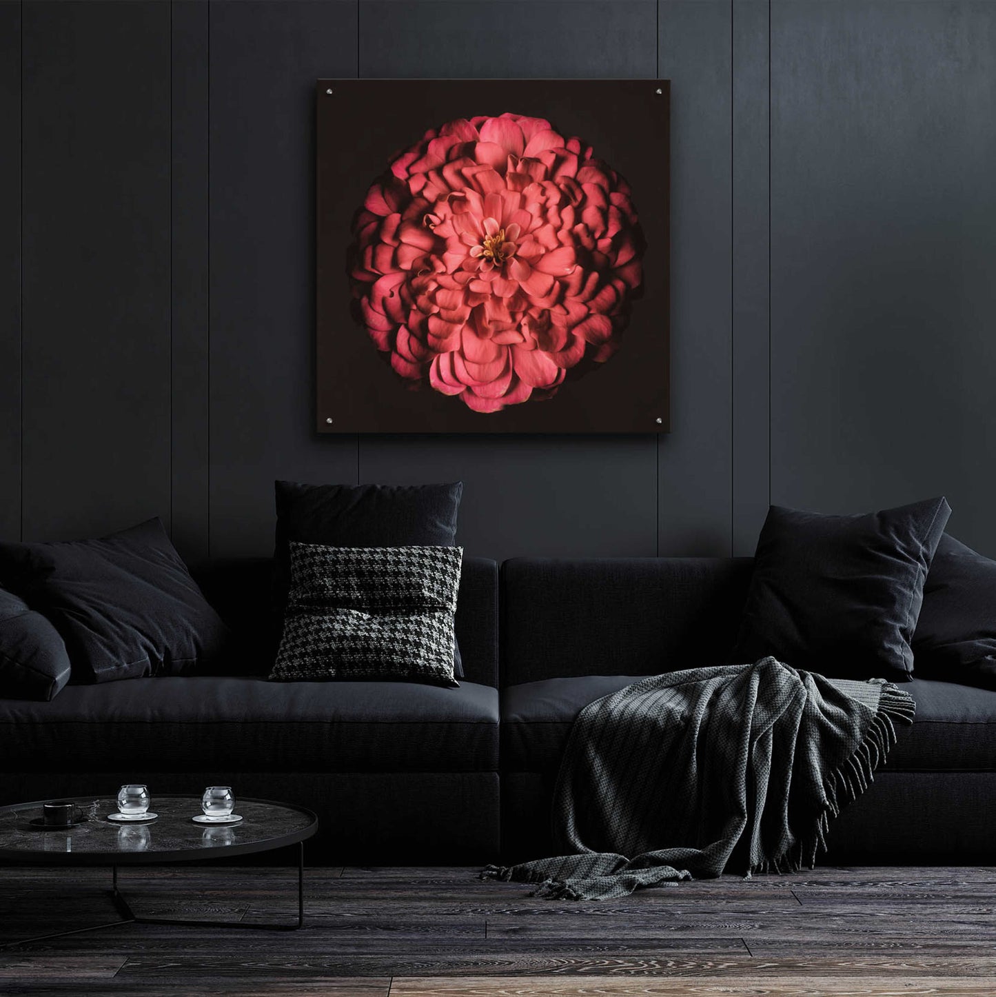 Epic Art 'Portrait of a Zinnia' by Leah McLean, Acrylic Glass Wall Art,36x36