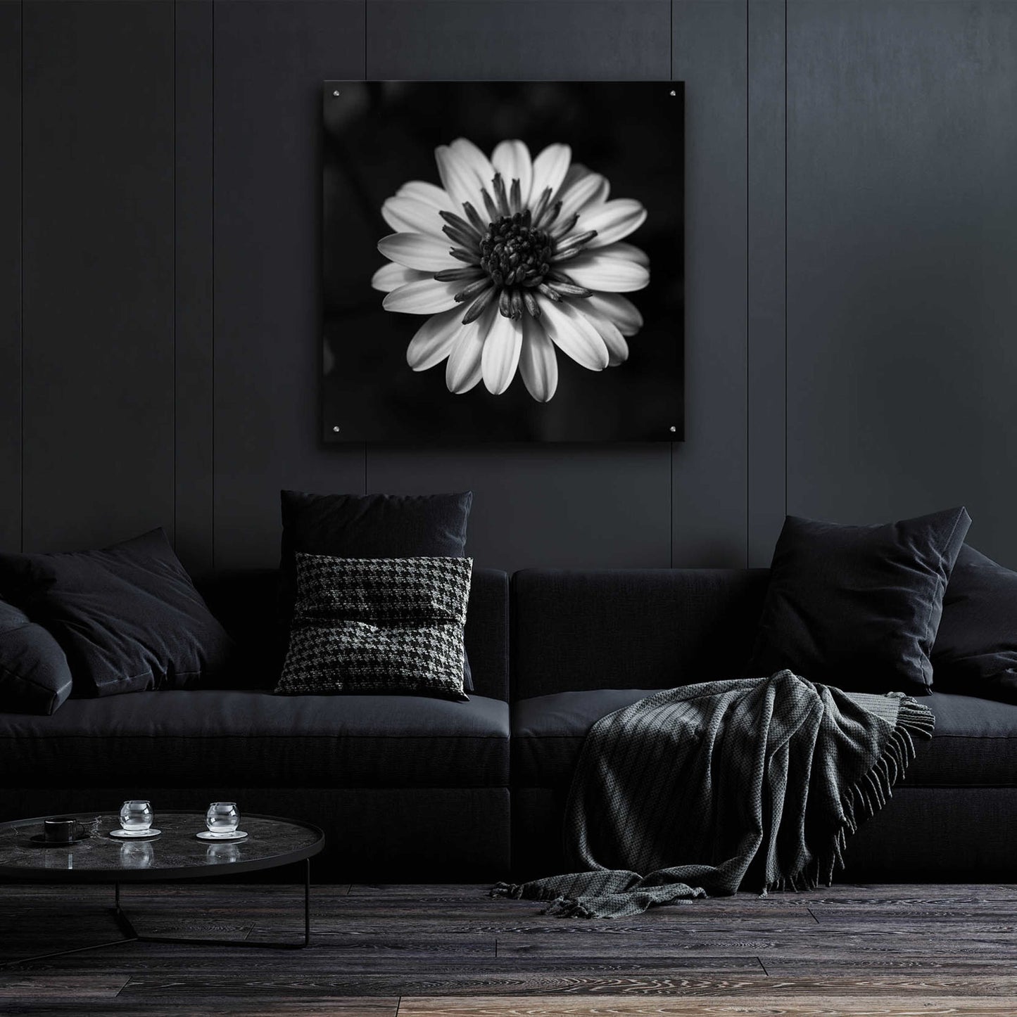 Epic Art 'Sunny Bloom Monochrome' by Leah McLean, Acrylic Glass Wall Art,36x36