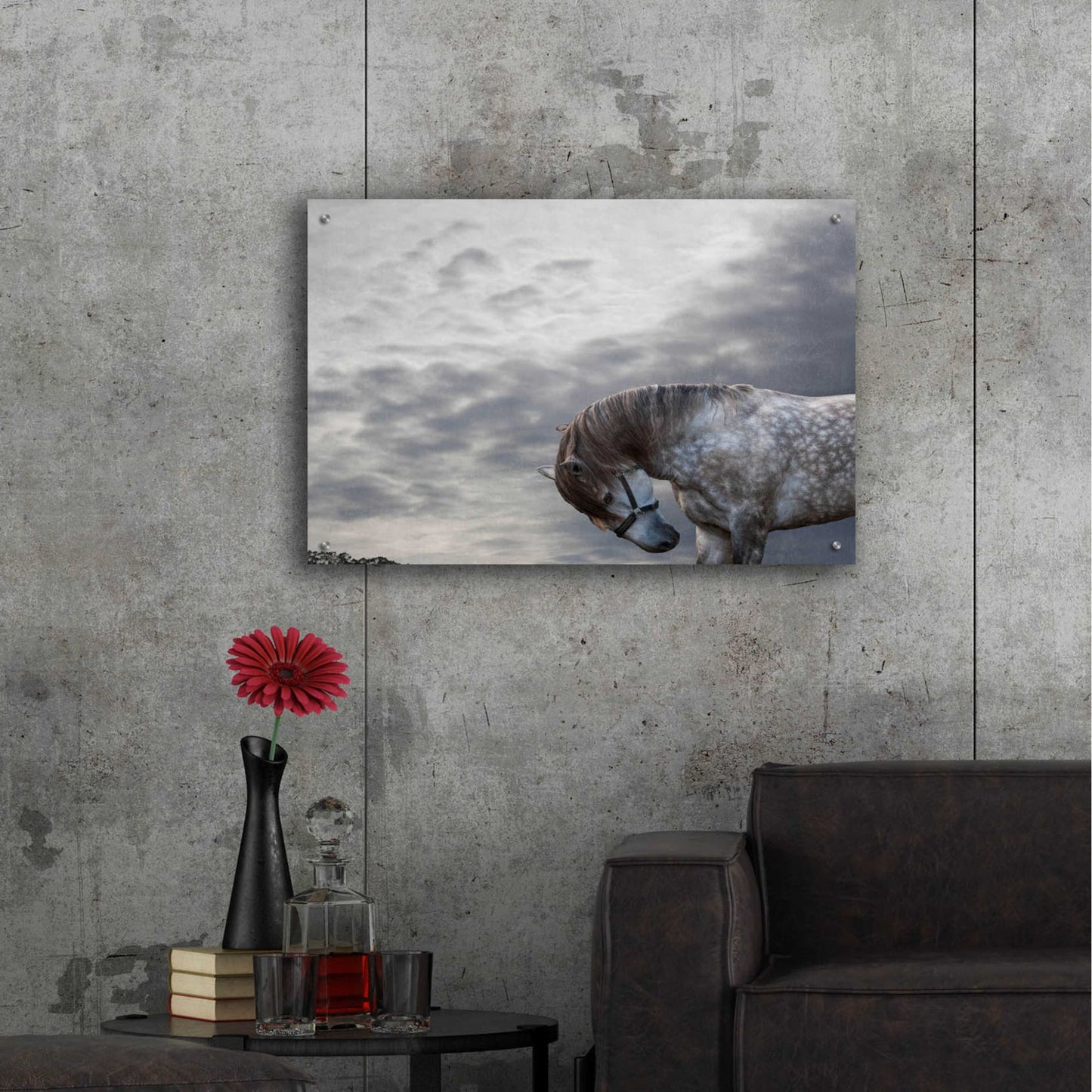 Epic Art 'Vito' by Susan Friedman, Acrylic Glass Wall Art,36x24