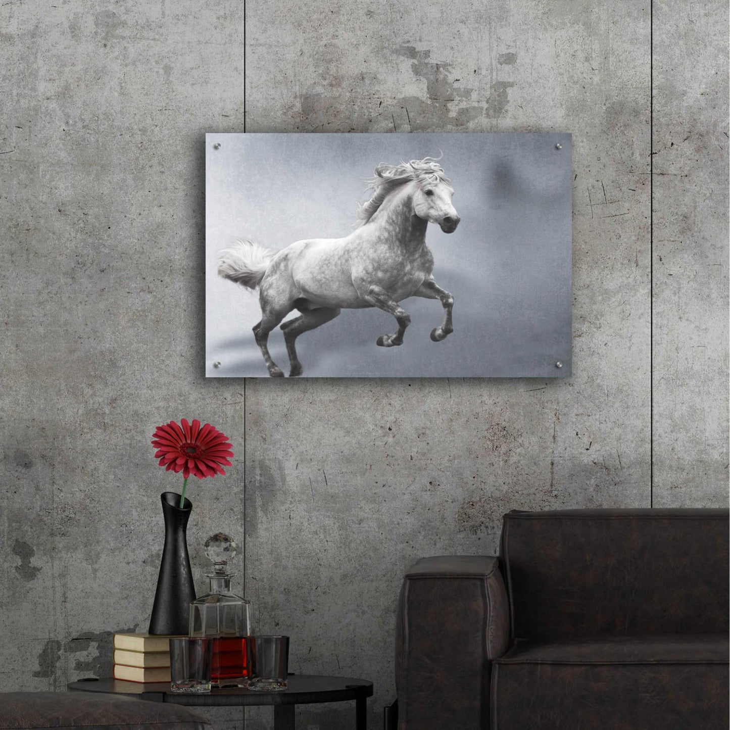 Epic Art 'grey on grey' by Susan Friedman, Acrylic Glass Wall Art,36x24