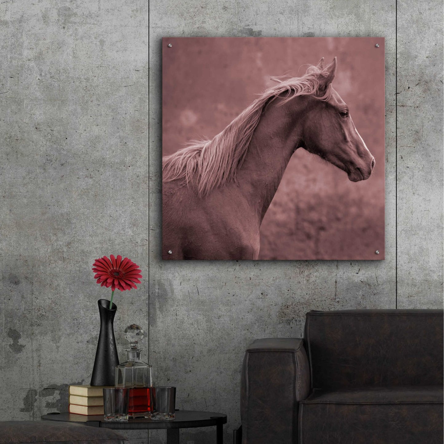 Epic Art 'colt' by Susan Friedman, Acrylic Glass Wall Art,36x36