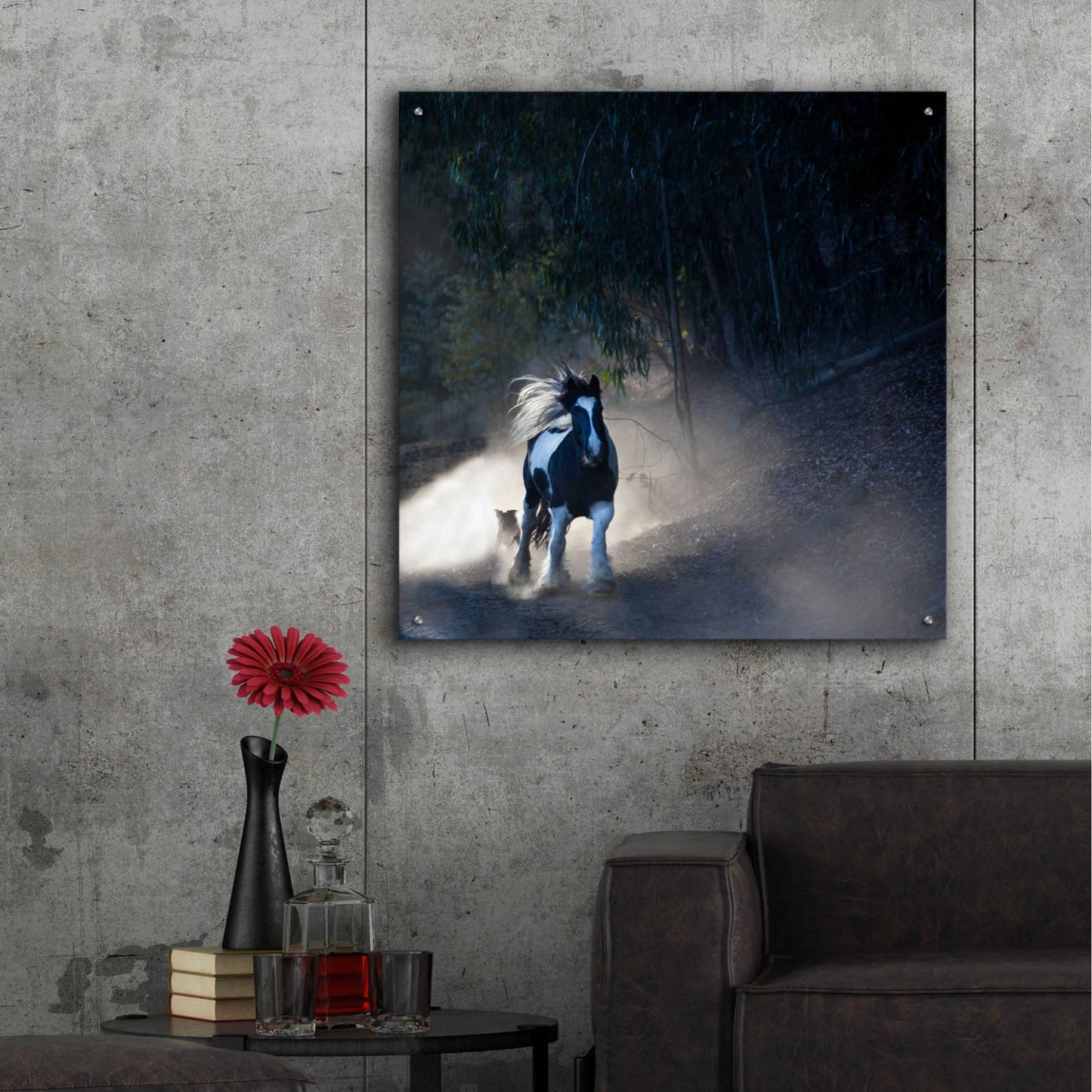 Epic Art 'Felina 1' by Susan Friedman, Acrylic Glass Wall Art,36x36