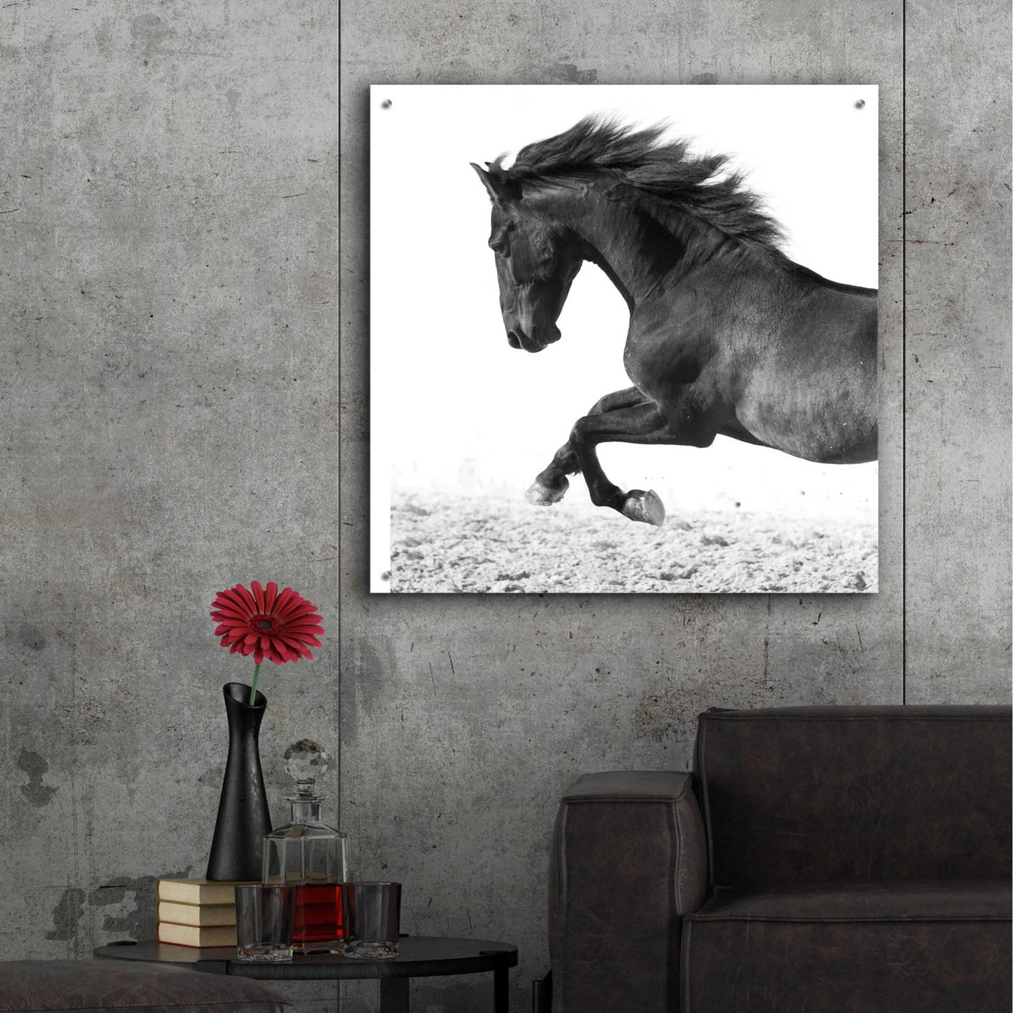 Epic Art 'Zalso' by Susan Friedman, Acrylic Glass Wall Art,36x36