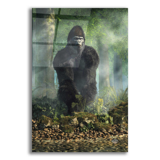 Epic Art 'Gorilla' by Daniel Eskridge, Acrylic Glass Wall Art