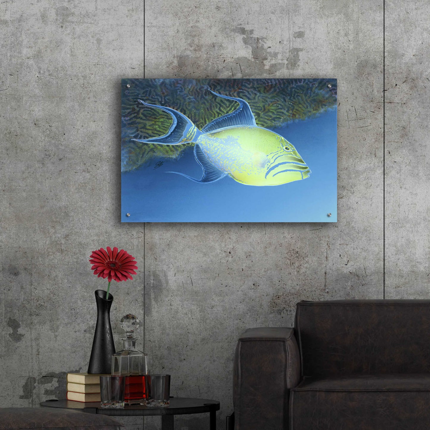 Epic Art 'Trigger Fish' by Durwood Coffey, Acrylic Glass Wall Art,36x24