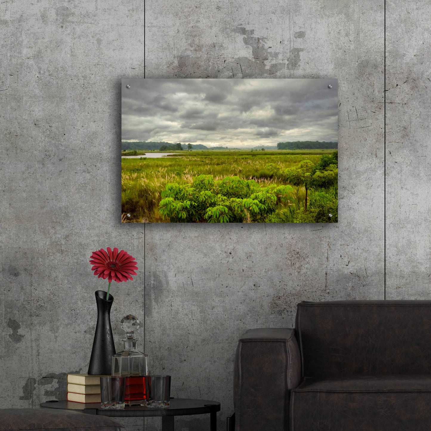 Epic Art 'Nepal Jungle' by Grace Fine Arts Photography, Acrylic Glass Wall Art,36x24