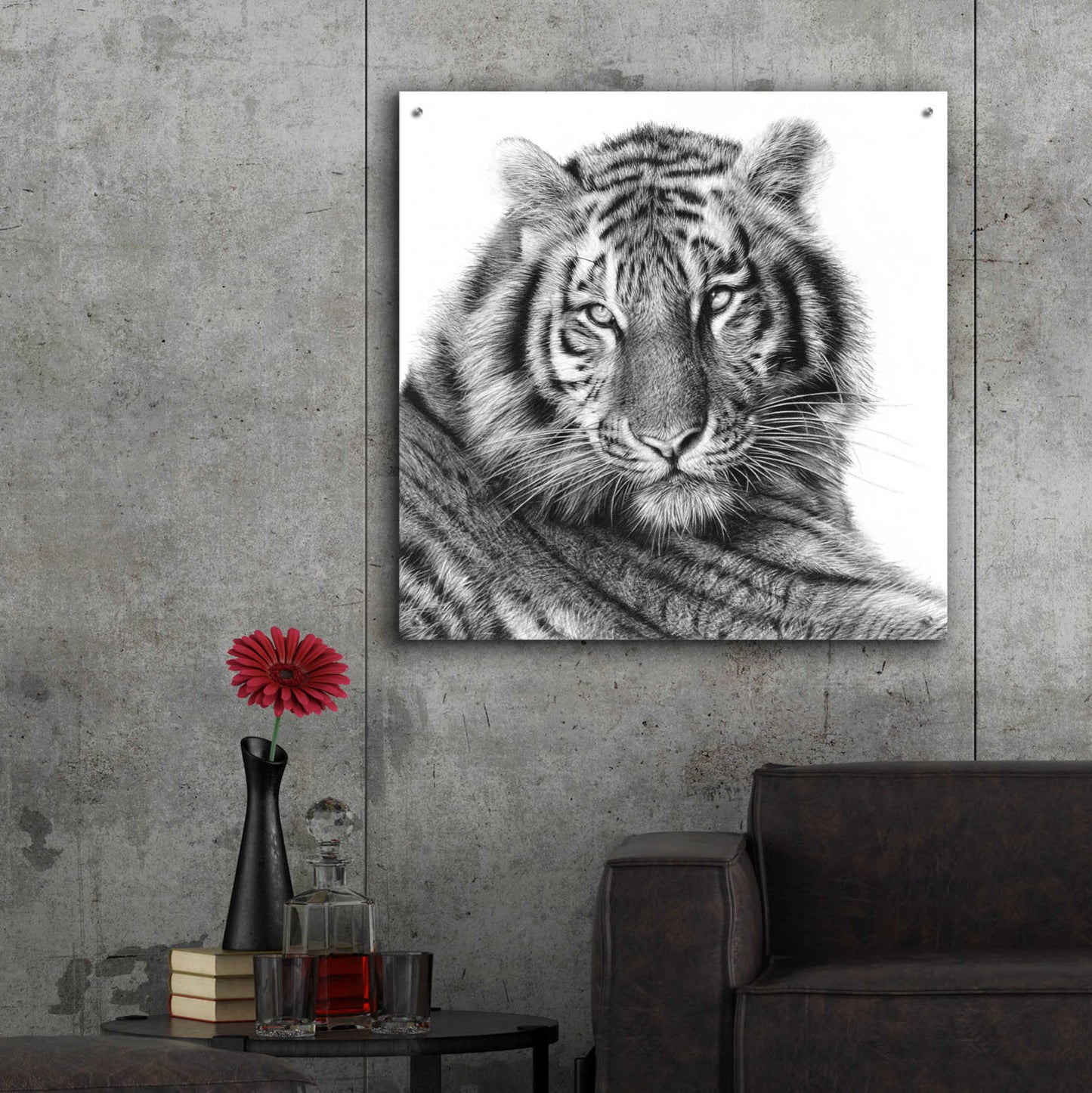 Epic Art 'Sameer' by Sam Dolman, Acrylic Glass Wall Art,36x36
