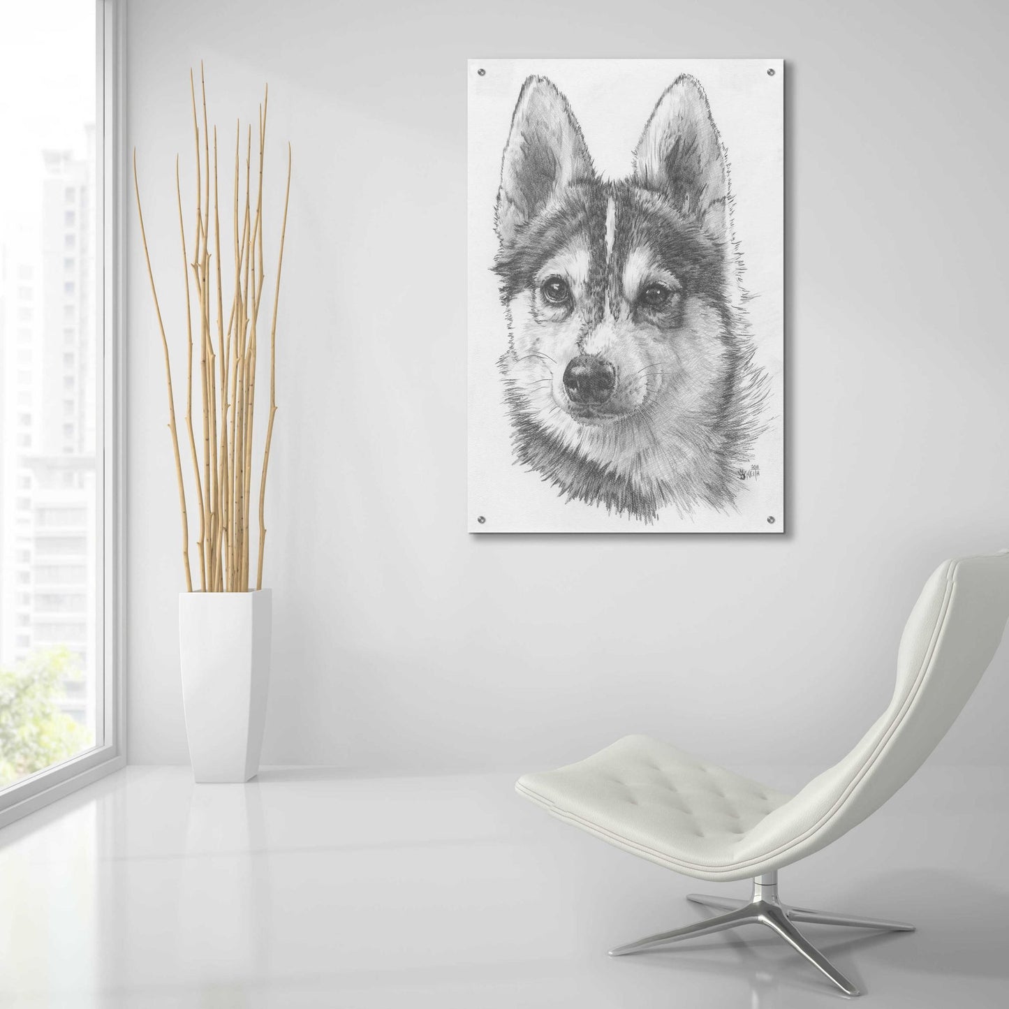 Epic Art 'Alaskan Klee Kai' by Barbara Keith, Acrylic Glass Wall Art,24x36