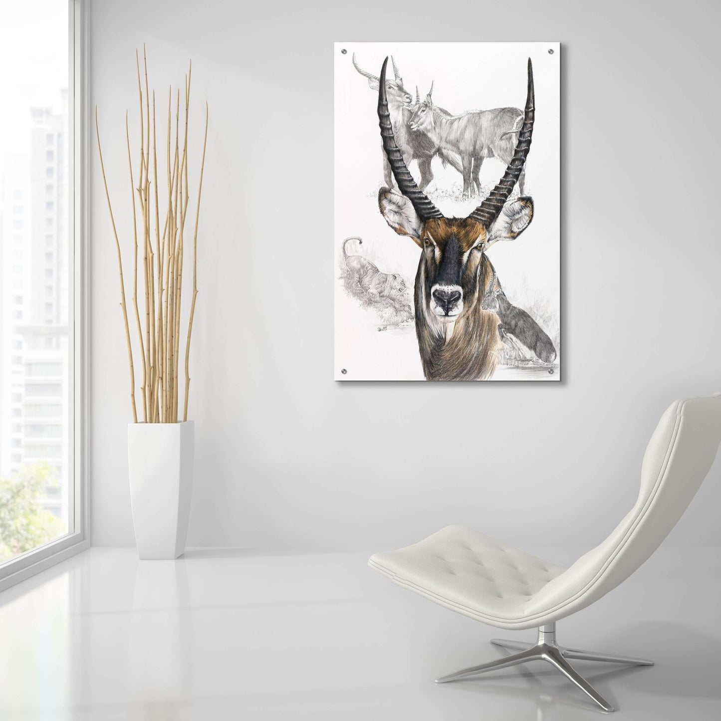 Epic Art 'Waterbuck' by Barbara Keith, Acrylic Glass Wall Art,24x36