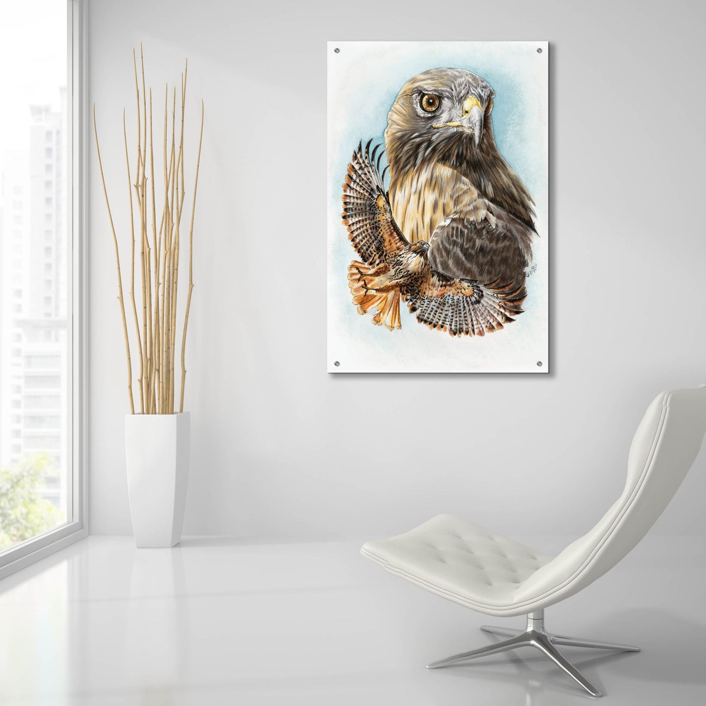 Epic Art 'Hawkeye' by Barbara Keith, Acrylic Glass Wall Art,24x36